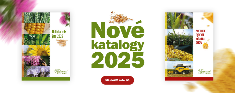 Katalogy 2025