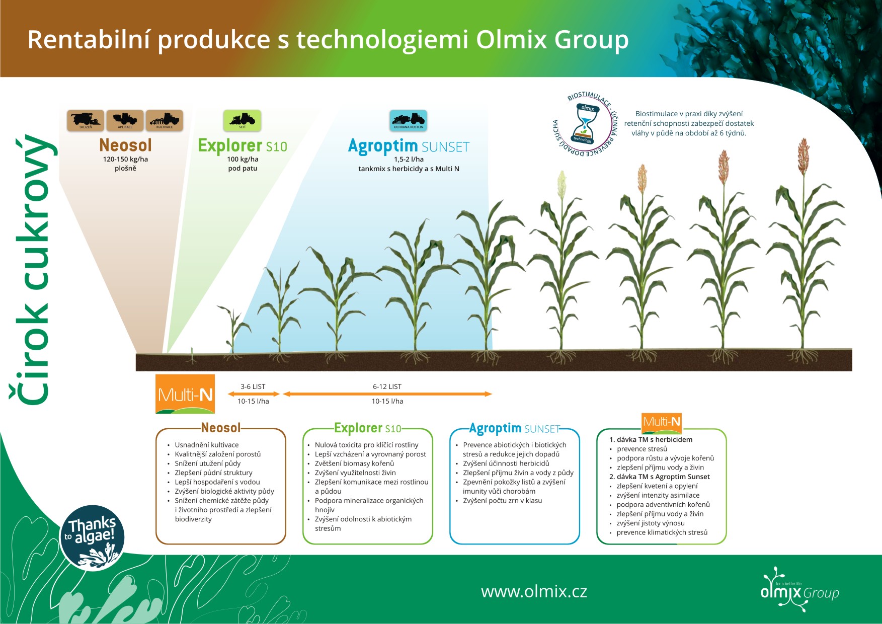 Olmix Group