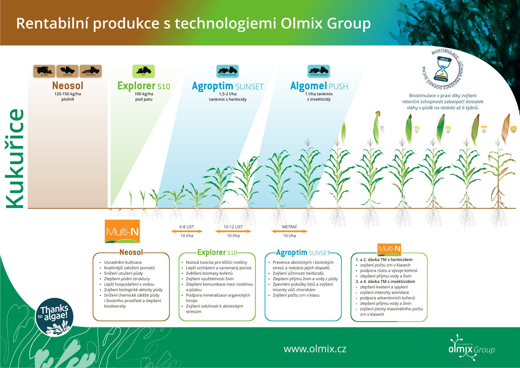 Olmix Group