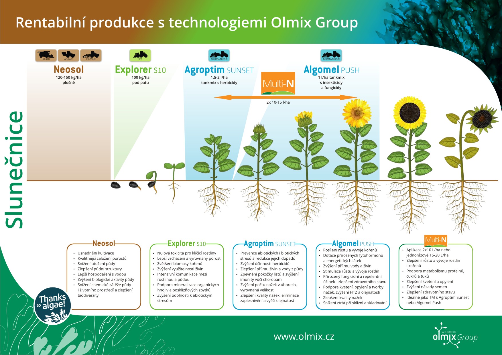 Olmix Group