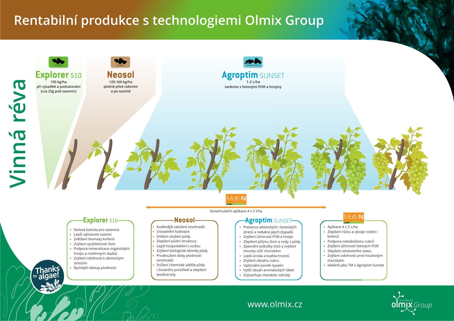 Olmix Group